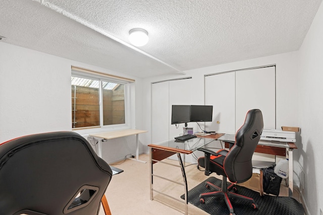 office space featuring a textured ceiling and light colored carpet