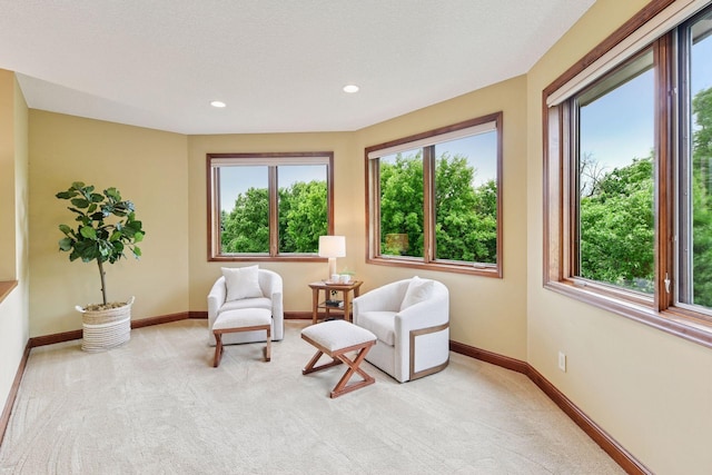 365 Lythrum Ln, Medina, MN 55340 - photo 35