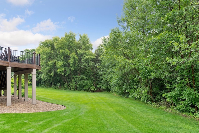 365 Lythrum Ln, Medina, MN 55340 - photo 57