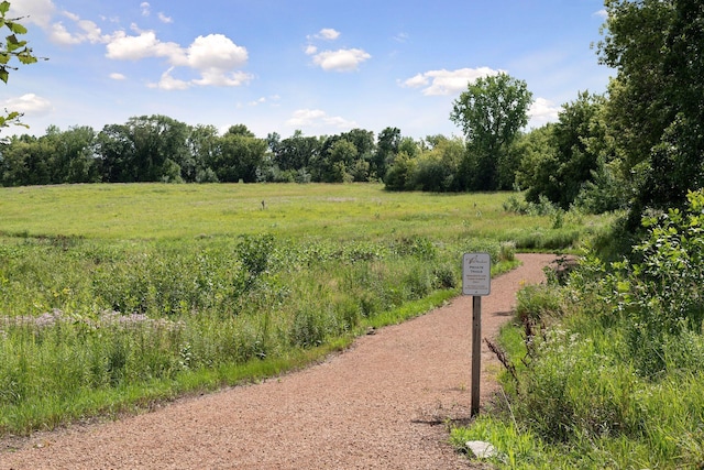 365 Lythrum Ln, Medina, MN 55340 - photo 66
