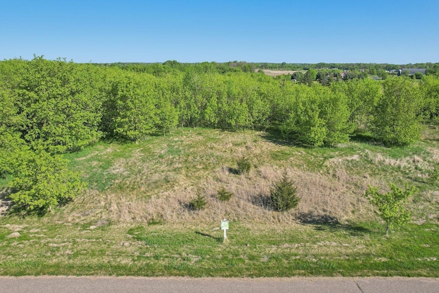 LOT3BLOCK5 Silo Ct, Franconia Twp, MN 55074 - photo 1