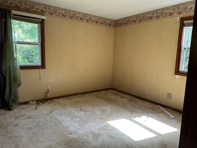 27851 360th Ave, Hancock, MN 56244 - photo 9