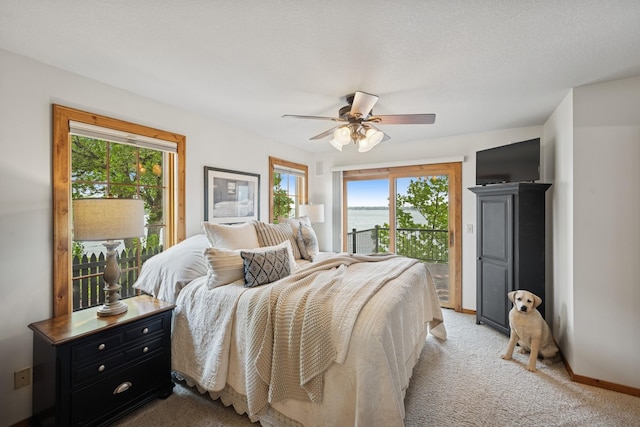 11847 Gulden Ave NW, Maple Lake, MN 55358 - bedroom with access to exterior, light carpet, and a ceiling fan