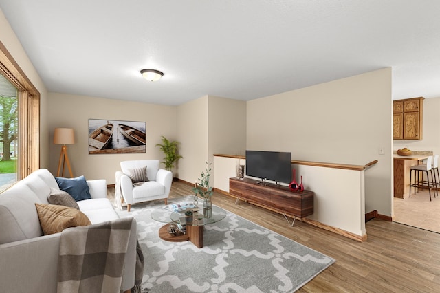 423 State St E, Grey Eagle, MN 56336 - living room featuring baseboards and light wood-style floors