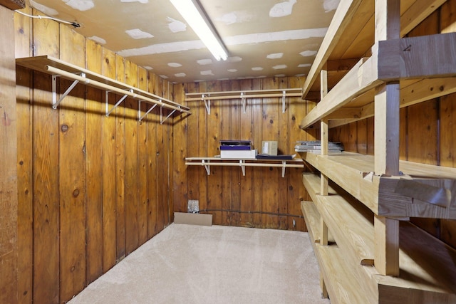 walk in closet featuring carpet floors