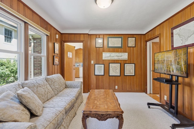1804 Pinehurst Ave, Saint Paul, MN 55116 - living room with carpet flooring and wooden walls