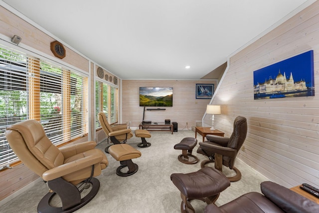 sitting room with wood walls and carpet flooring