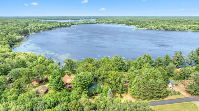 drone / aerial view with a view of trees and a water view