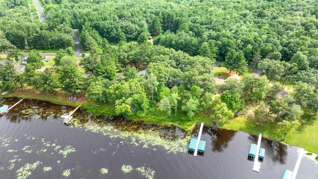 bird's eye view featuring a forest view and a water view