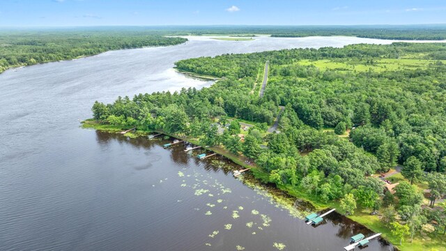 birds eye view of property with a view of trees and a water view