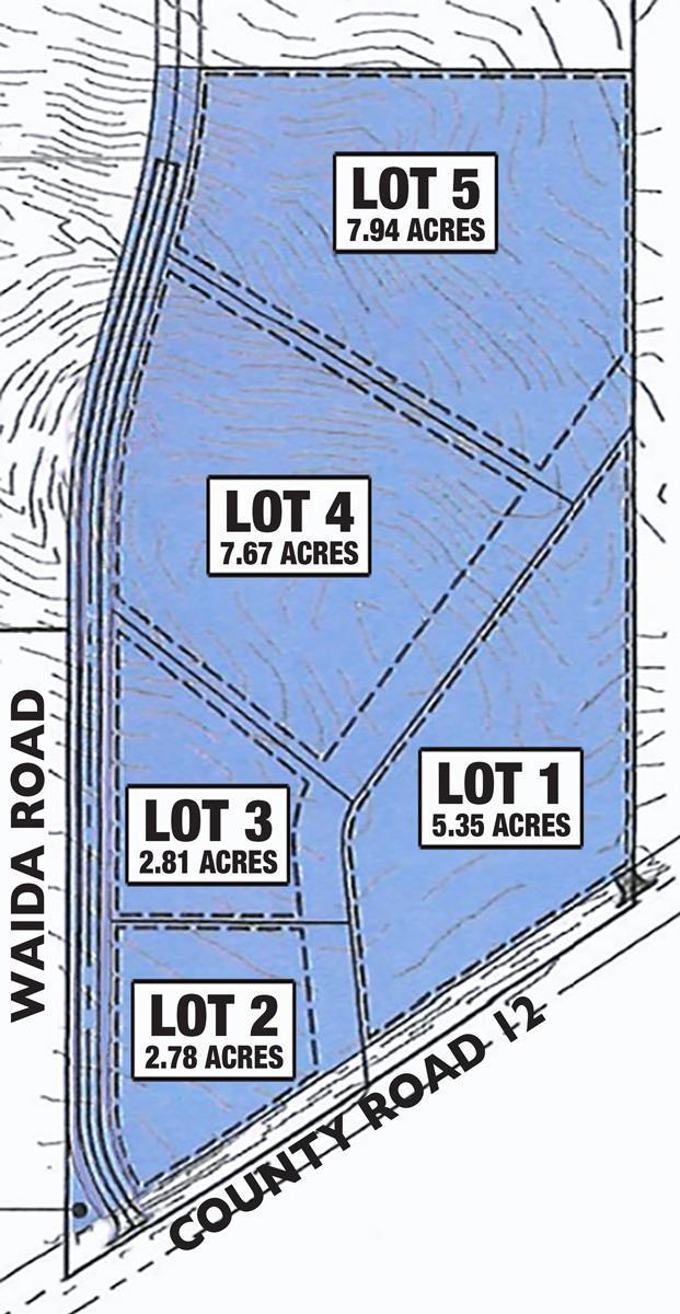 TBDLOT3 Waida Rd, Wilson Twp, MN 55987