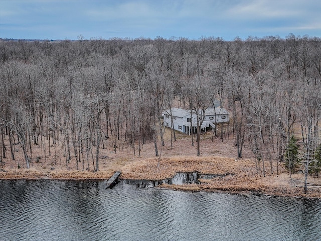 aerial view featuring a water view and a wooded view