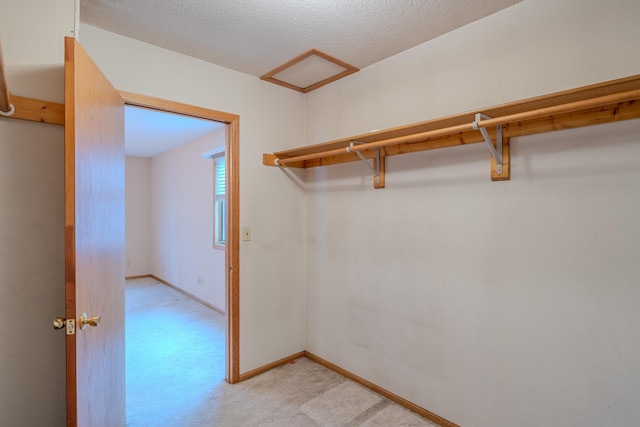 walk in closet featuring light colored carpet