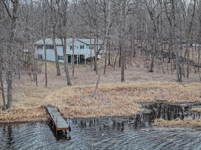 dock area with a water view