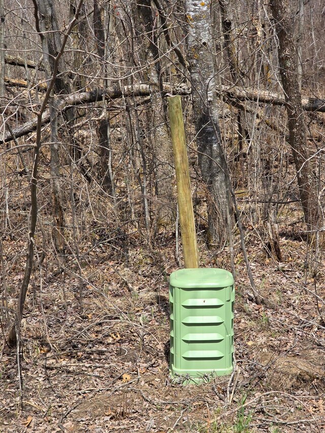 Listing photo 4 - caption unavailable