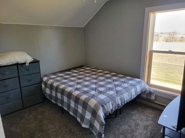 bedroom with lofted ceiling and carpet floors
