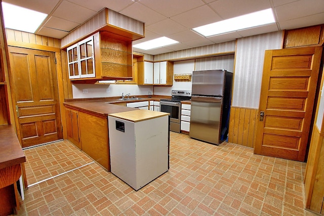 717 3rd St, Red Wing, MN 55066 - kitchen featuring a peninsula, a sink, a drop ceiling, wooden walls, and appliances with stainless steel finishes