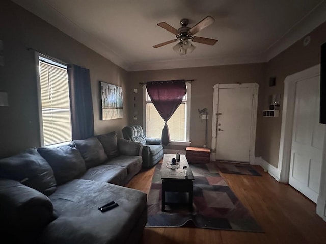 living area with crown molding, plenty of natural light, wood finished floors, and ceiling fan