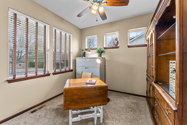 4902 Brooklyn Ln, Eagan, MN 55123 - photo 6