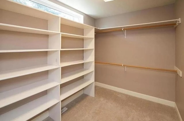 walk in closet featuring carpet flooring