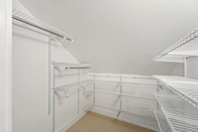 2736 Chowen Ave S, Minneapolis, MN 55416 - view of walk in closet