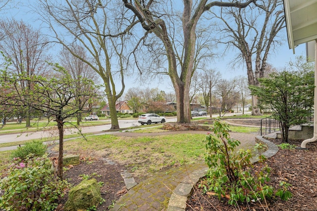 2736 Chowen Ave S, Minneapolis, MN 55416 - view of yard