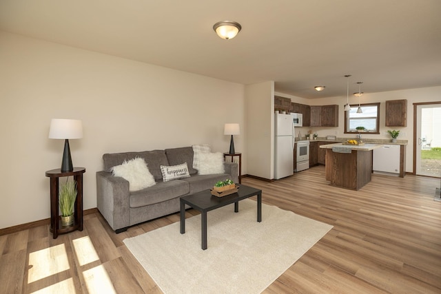 231 Julia St, Claremont, MN 55924 - living room featuring light wood-type flooring and baseboards