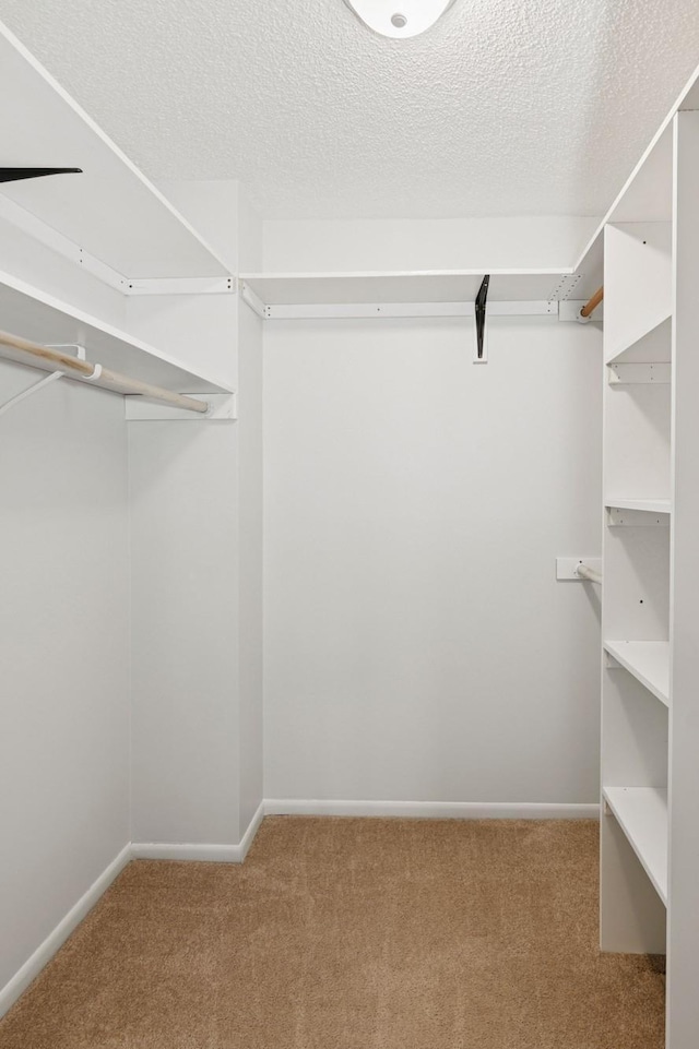 spacious closet with carpet flooring