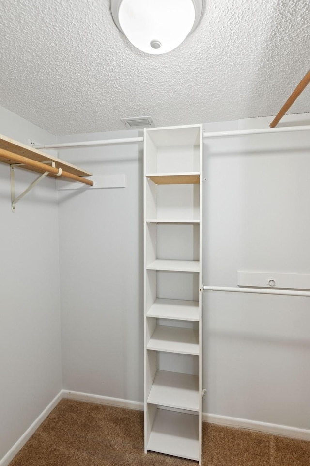 walk in closet featuring carpet flooring