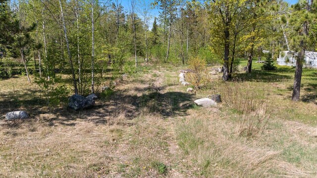 TBD State Highway 38, Grand Rapids, MN 55744