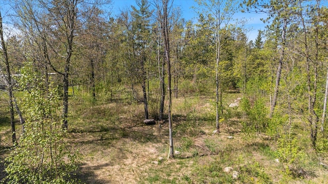 TBD State Highway 38, Grand Rapids, MN 55744