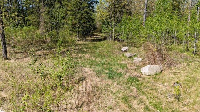 TBD State Highway 38, Grand Rapids, MN 55744