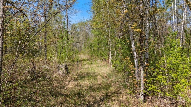 TBD State Highway 38, Grand Rapids, MN 55744