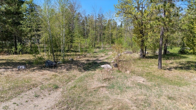TBD State Highway 38, Grand Rapids, MN 55744