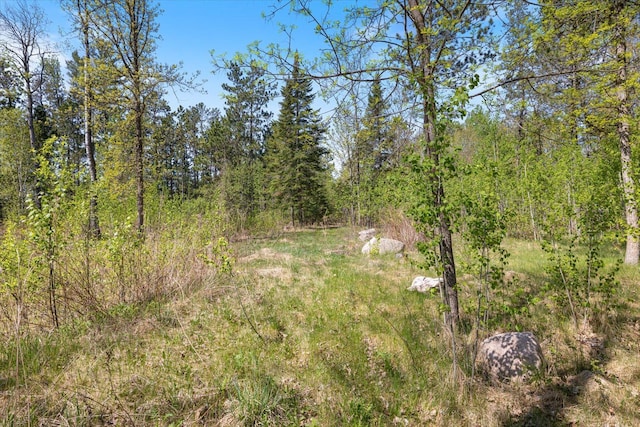 TBD State Highway 38, Grand Rapids, MN 55744