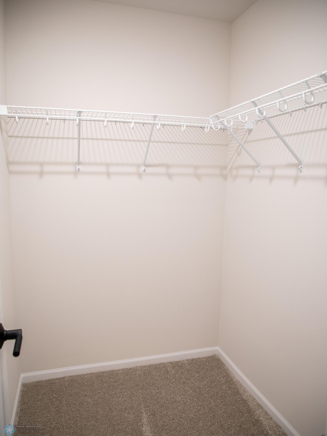 1490 66th Ave S, Fargo, ND 58104 - walk in closet with carpet floors
