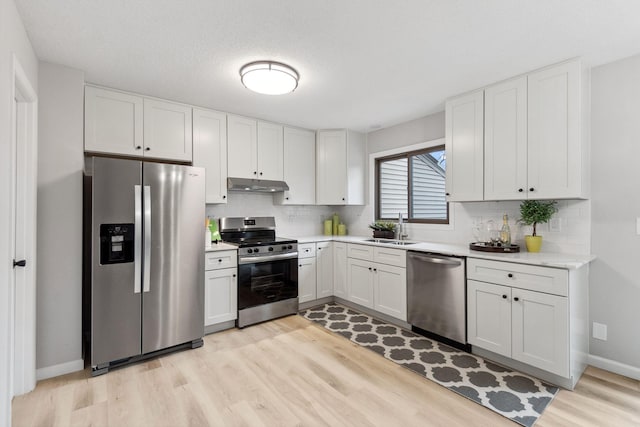 kitchen with light wood-style floors, light countertops, under cabinet range hood, a sink, and stainless steel appliances