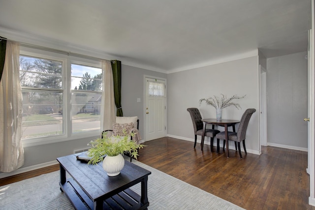 living area featuring baseboards and dark wood-type flooring