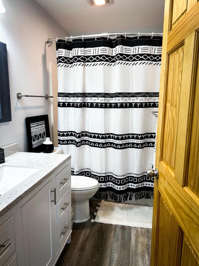 41634 Long Lake Rd, Ottertail, MN 56571 - bathroom featuring wood finished floors, vanity, toilet, and a shower with shower curtain