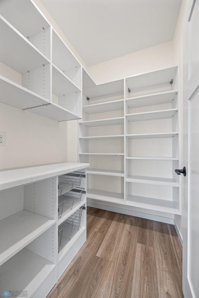 4242 Bristlecone Loop S, Fargo, ND 58104 - view of pantry