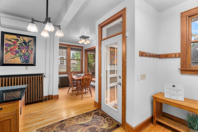 904 Lincoln Ave, Saint Paul, MN 55105 - entryway with radiator and light wood-type flooring