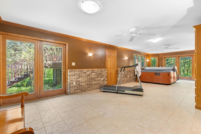 exercise room featuring crown molding, ceiling fan, a wainscoted wall, and light tile patterned floors