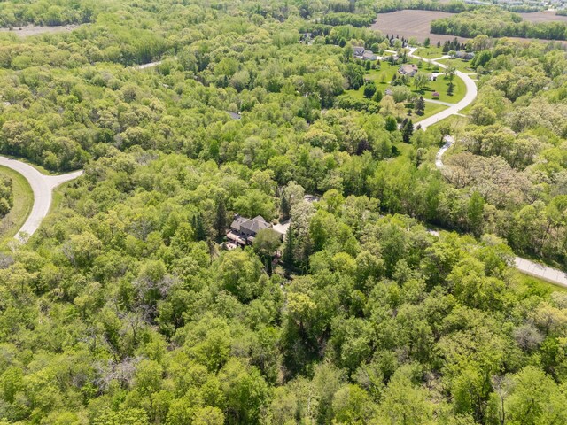 bird's eye view of a forest