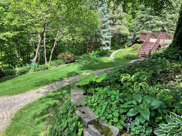view of green lawn with stairway, a wooden deck, and a wooded view