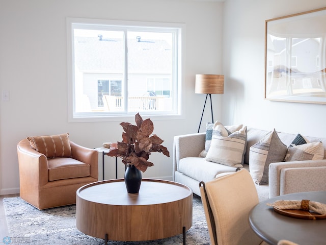 living room with baseboards and a wealth of natural light