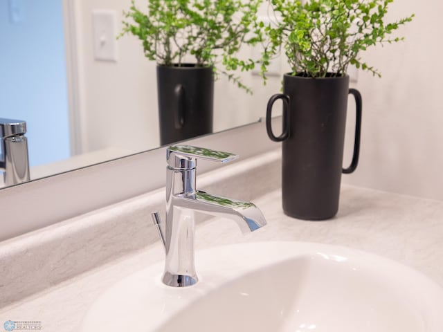 room details with a sink