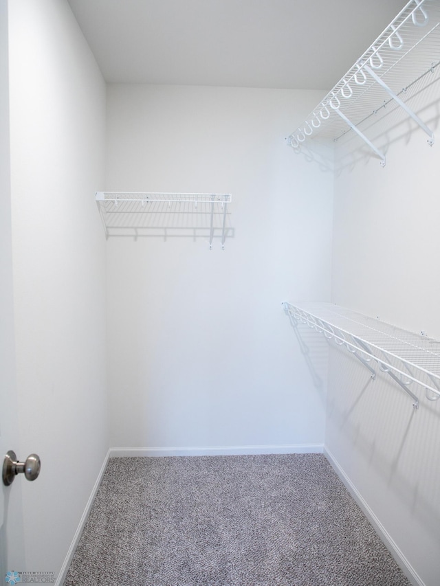 spacious closet with carpet floors
