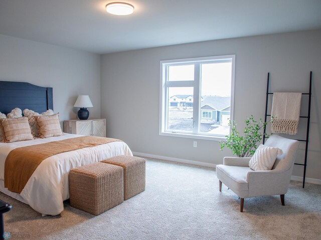 bedroom featuring baseboards and carpet