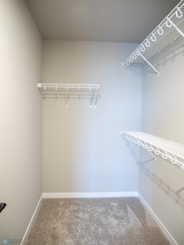 walk in closet featuring carpet flooring