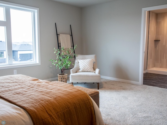 1479 66th Ave S, Fargo, ND 58104 - bedroom featuring baseboards and carpet floors